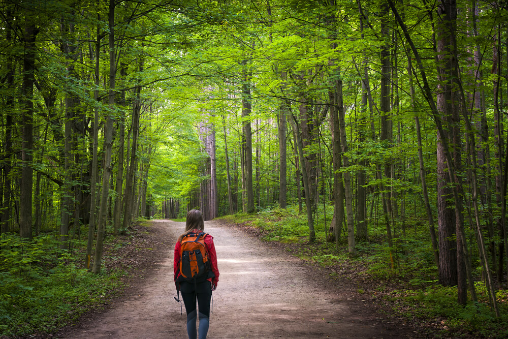 Explore Boothbay Harbor’s Hiking Trails