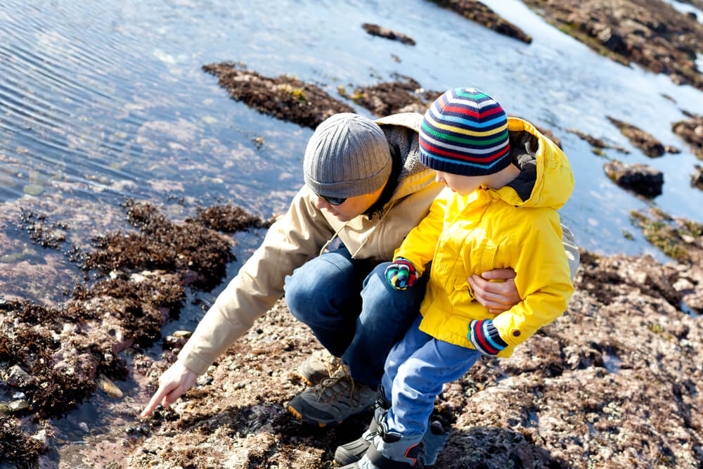 Tidepooling on the Maine Coast | Exploring at Low Tide