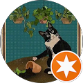 D L Avatar